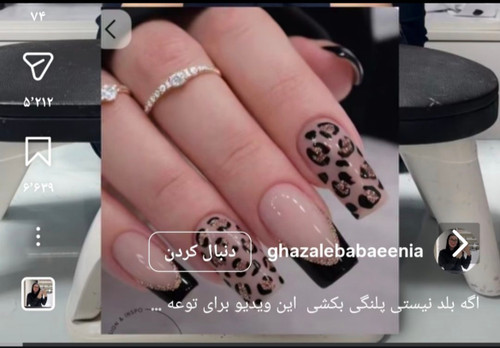سفارشی